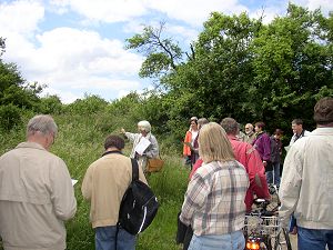 Station 1 Feldhecken 